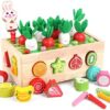 Montessori Wooden Educational Toys for Toddlers