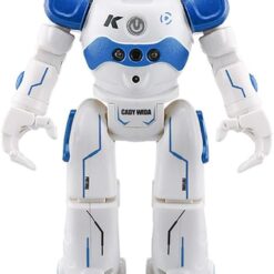 gesture controlled smart robot for gifted kids