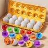 montessori color & shape matching egg toy for gifted toddlers – early cognitive development & executive function learning game